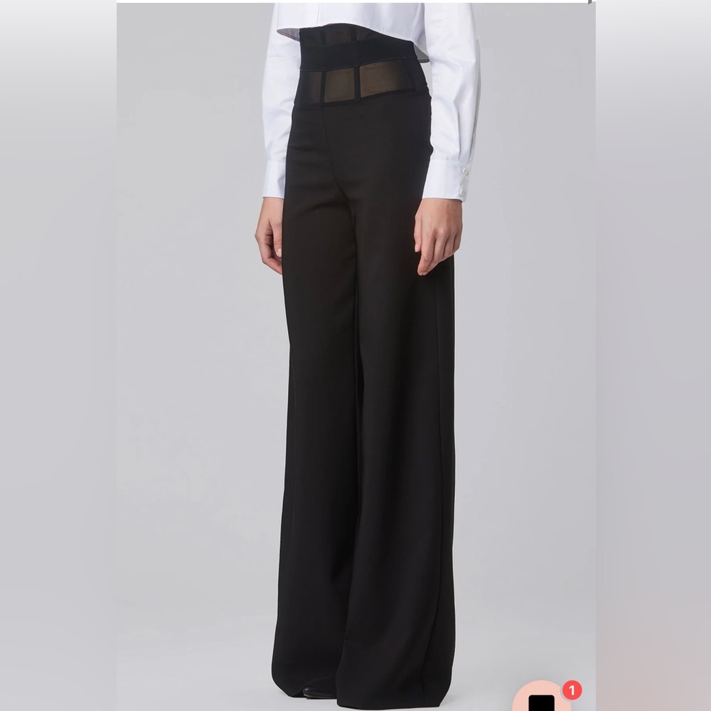 Murmur Sheer Waist Corset Pants Mesh FRAME TROUSERS palazzo wide leg boning mur - Picture 11 of 16